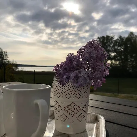 Ferienhaus Mecklenburger Seenplatte Waren/muritz
